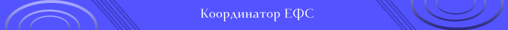 Координатор ЕФС.jpg